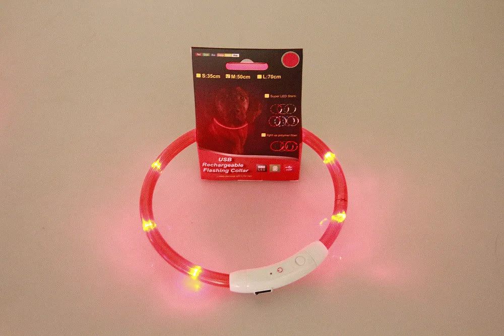 GlowRing Rechargeable LED Safety Collar