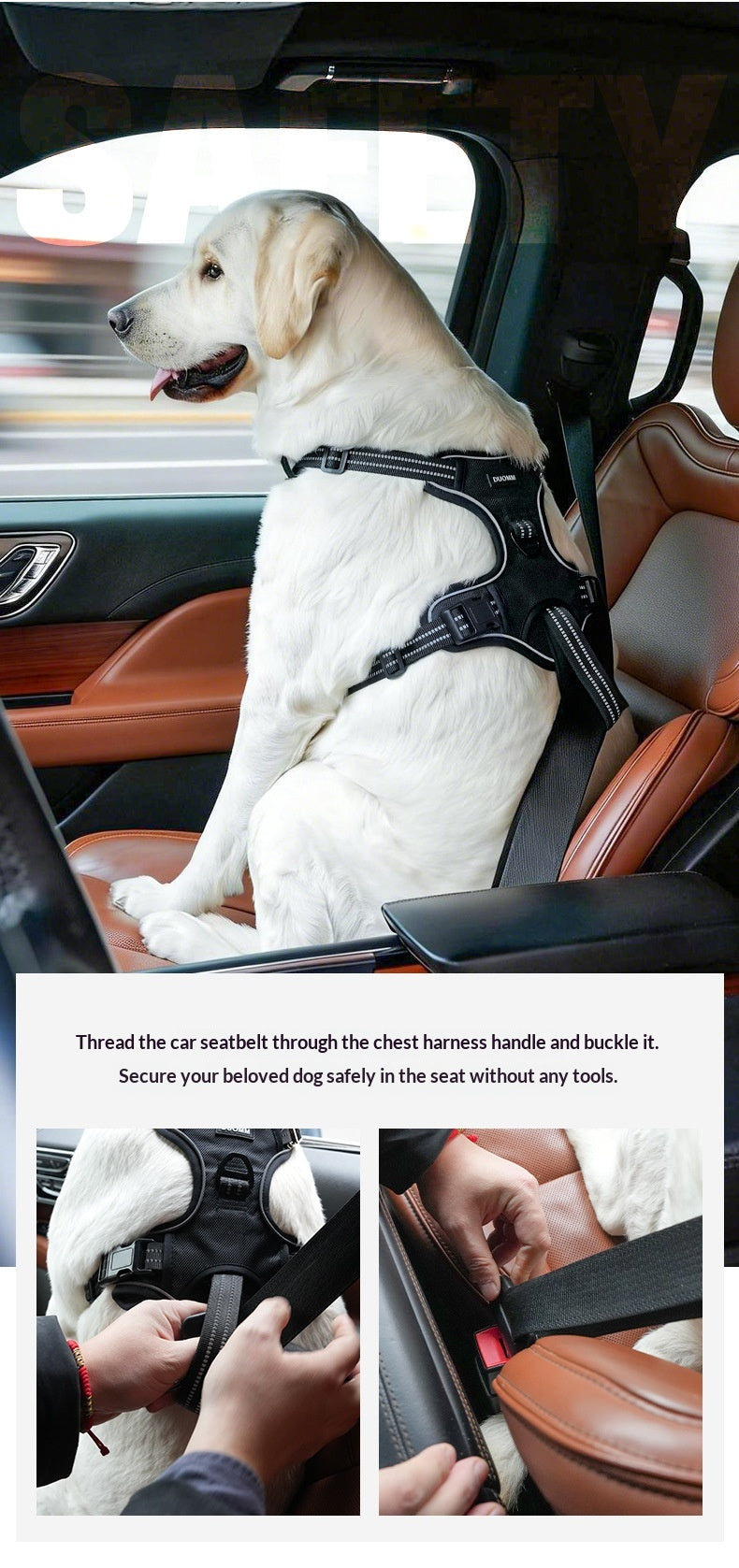 RideGuard Dog Travel Harness