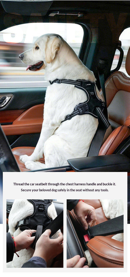 RideGuard Dog Travel Harness