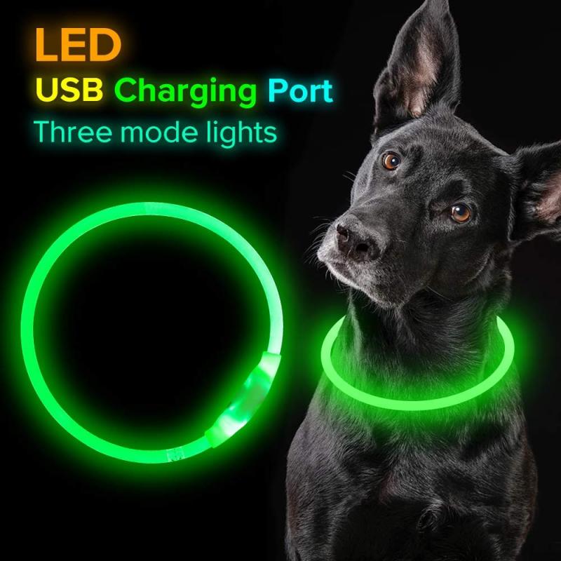 GlowRing Rechargeable LED Safety Collar