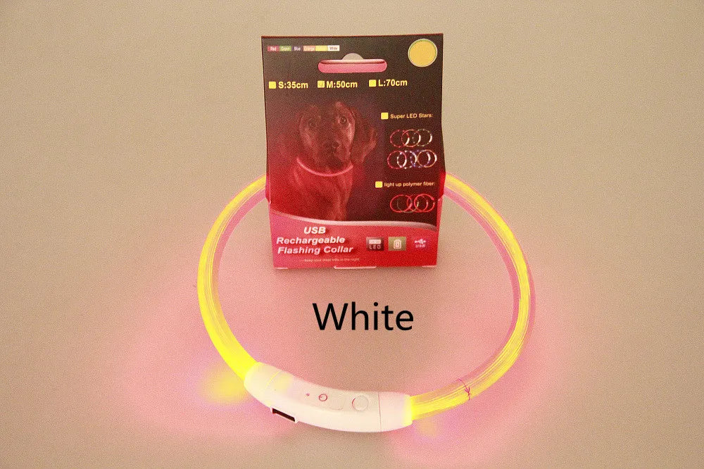 GlowRing Rechargeable LED Safety Collar